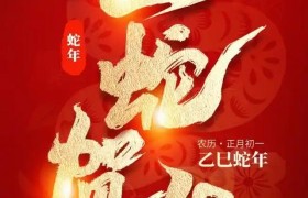 「名家贺岁」书画家张金福：2025蛇年新春特刊